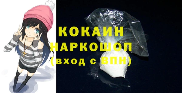индика Ельня