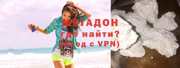 индика Ельня