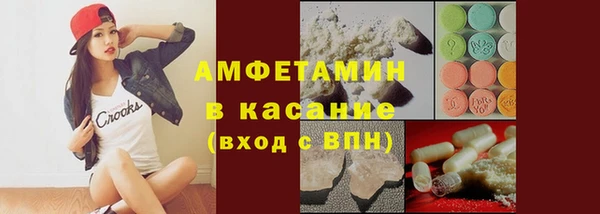 индика Ельня