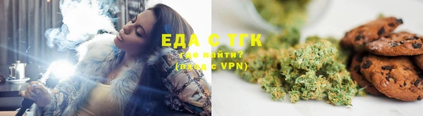 индика Ельня