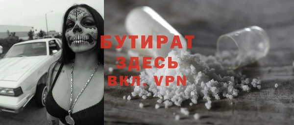 индика Ельня