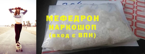 индика Ельня
