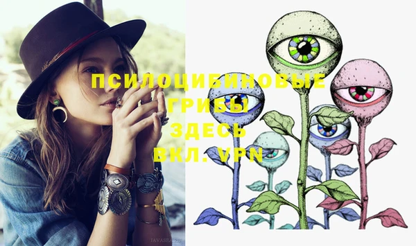 индика Пересвет