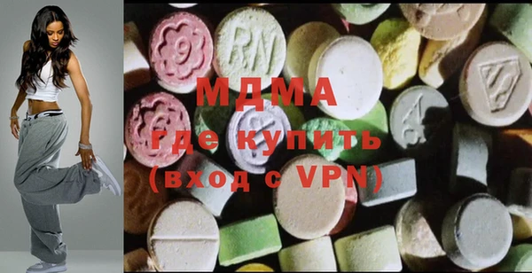 индика Ельня