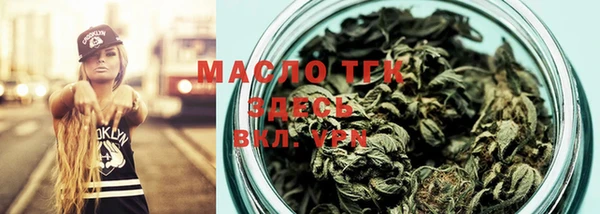индика Ельня
