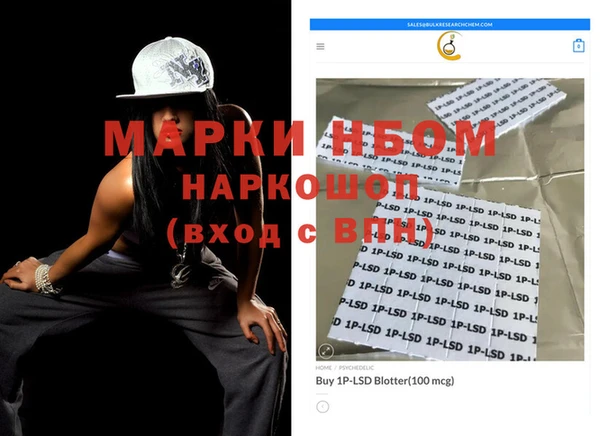 индика Няндома