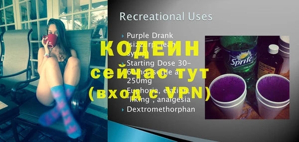 индика Ельня