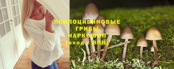 МДМА Елизово