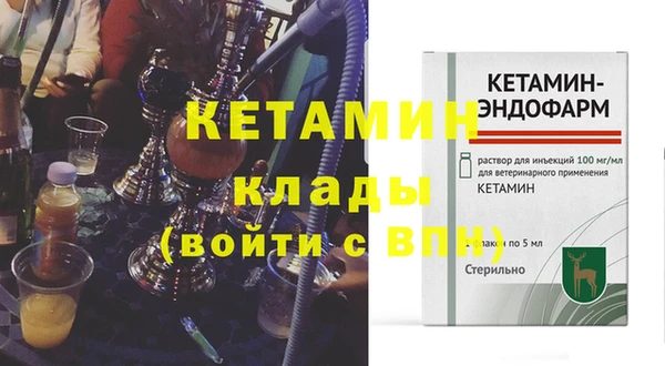 индика Ельня