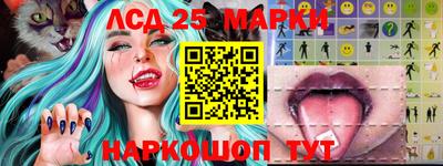 прущие грибы Кингисепп