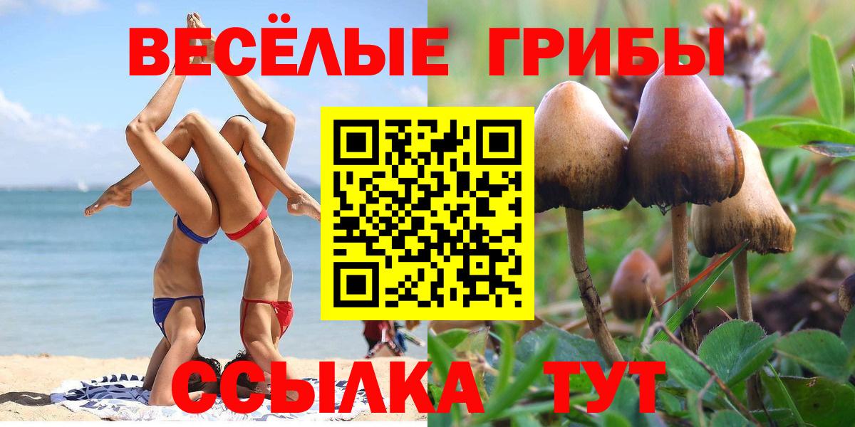 Псилоцибиновые грибы Psilocybine cubensis  Пыть-Ях 