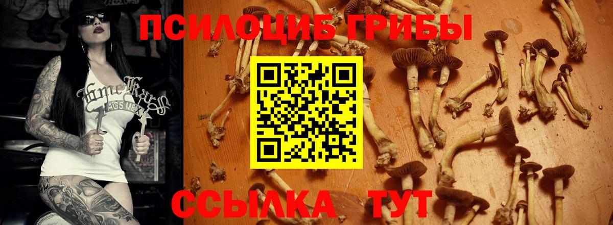 Галлюциногенные грибы мухоморы Пыть-Ях
